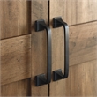 Maklaine 2 Door Engineered Wood Storage Cabinet in Rural Pine