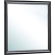 Maklaine Traditional Engineered Wood Frame Mirror in Black Finish