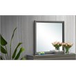 Maklaine Transitional Engineered Wood Frame Mirror in Metalic Black