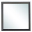 Maklaine Transitional Engineered Wood Frame Mirror in Metalic Black