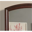 Maklaine Transitional Engineered Wood Frame Mirror in Cappuccino
