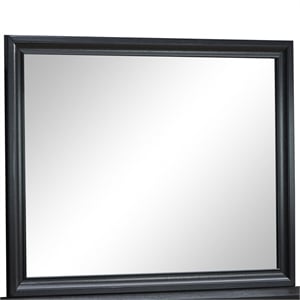 Maklaine Contemporary Wood Frame Mirror in Laminate Black Finish