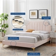 Maklaine Contemporary Performance Velvet Twin Platform Bed - Pink