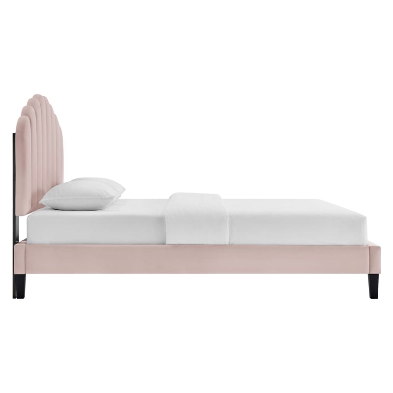 Maklaine Modern Performance Velvet Queen Platform Bed in Pink