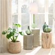 Maklaine Contemporary Handmade Geometric Ceramic Side Table in Pistachio
