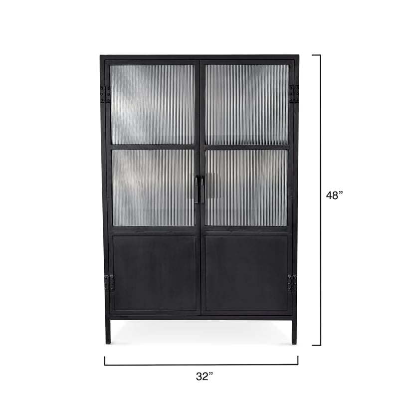 Maklaine Contemporary 2-Door Iron and Glass Industrial Dresser in Black