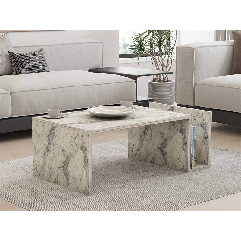 Maklaine Coffee Table with Lower Storage Shelf in Freesia Marble
