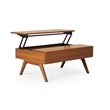 Maklaine Lift Top Bamboo Storage Coffee Table in Copper Finish