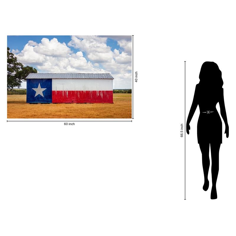 Maklaine Texas Flag Barn Tempered Glass Wall Art 60