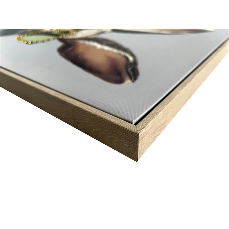 Maklaine Velvet Hare I Framed Canvas Art 24