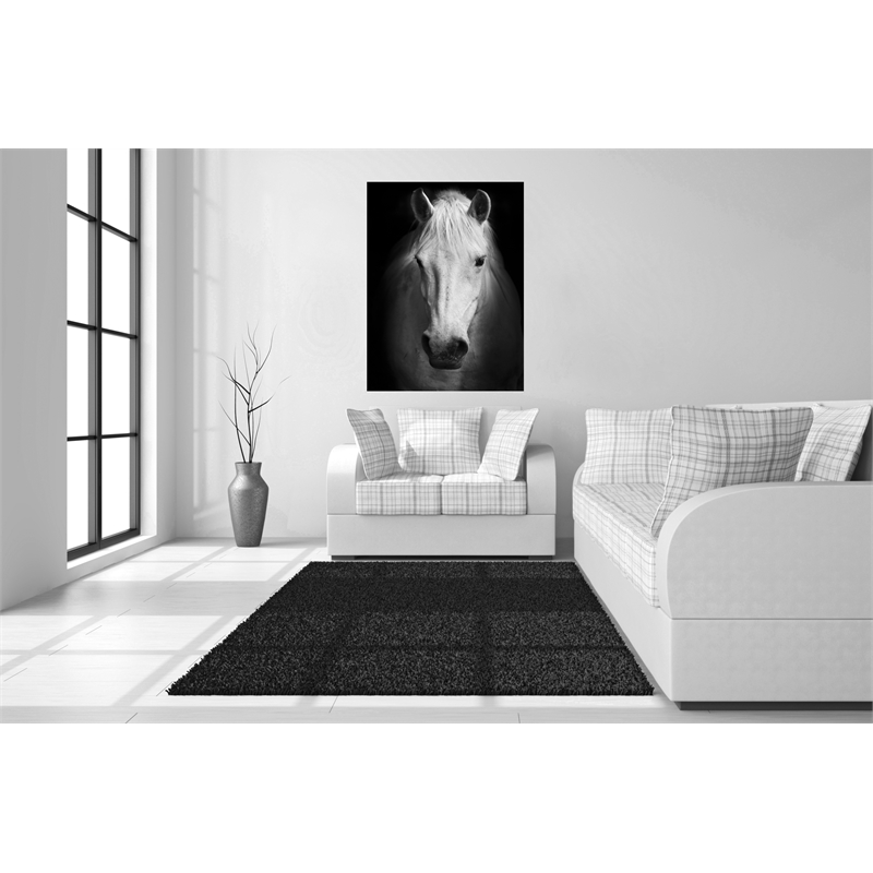 Maklaine White Horse Tempered Glass Wall Art 40