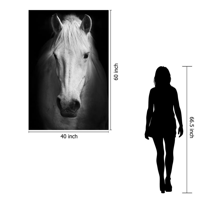 Maklaine White Horse Tempered Glass Wall Art 40
