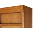 Kingfisher Lane Modern Wood Bookcase With Lower Doors Natural