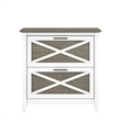 Kingfisher Lane Modern 2 Drawer File Cabinet in White & Gray