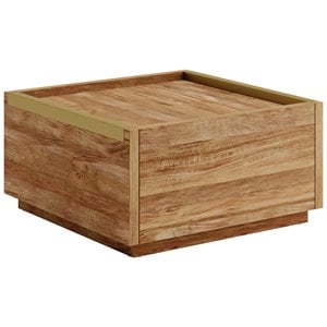 Kingfisher Lane Engineered Wood Coffee Table in Sindoori Mango/Natural