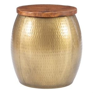 Kingfisher Lane Metal and Wood Side Table with Storage in Gold