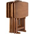 Kingfisher Lane 5-Piece Oversized Solid Wood Snack Table Set in Teak