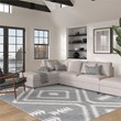 Granada Galen Gray and Ivory Olefin Shag Area Rug