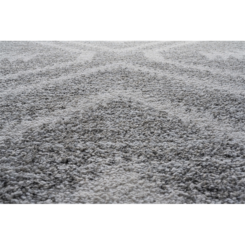 Granada Galen Gray and Ivory Olefin Shag Area Rug