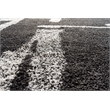 Granada Fable Black Charcoal Brown Gray Ivory Polypropylene Area Rug