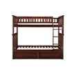 Leo & Lacey Mid-Century Solid Wood Twin Over Twin Storage Bunk Bed in Walnut