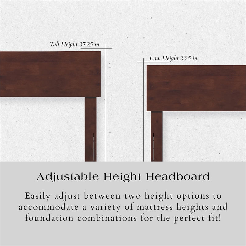 Leo & Lacey Contemporary Twin XL Solid Wood Platform Bed in Walnut