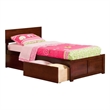 Leo & Lacey Twin Wood Platform Bed with Footboard and Storage Drawers in Walnut