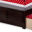 Leo & Lacey Twin Wood Platform Bed with Footboard & Storage Drawers in Espresso