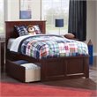 Leo & Lacey Twin Platform Bed with Matching Footboard & Storage Drawers - Walnut