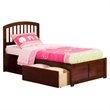 Leo & Lacey Twin Wood Platform Bed with Footboard and Storage Drawers in Walnut