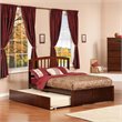 Leo & Lacey Full Wood Platform Bed with Footboard and Twin Trundle in Walnut