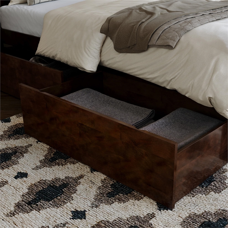 Leo & Lacey Twin Storage Wood Platform Bed with Matching Footboard in Walnut