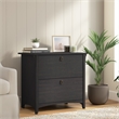 Salinas 2 Drawer Lateral File Cabinet in Vintage Black - Engineered Wood