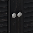 Fairview Small Storage Cabinet with Doors in Antique Black - Engineered Wood