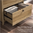 Salinas 2 Drawer Lateral File Cabinet in Reclaimed Pine - Engineered Wood