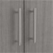 Somerset Tall Entryway Cabinet with Doors in Platinum Gray - Engineered Wood