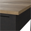Mayfield 2 Drawer Lateral File Cabinet in Vintage Black and Reclaimed Pine