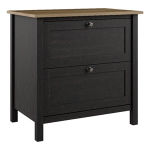 Mayfield 2 Drawer Lateral File Cabinet in Vintage Black and Reclaimed Pine