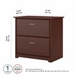 Cabot 2 Drawer Lateral File Cabinet in Harvest Cherry - Engineered Wood