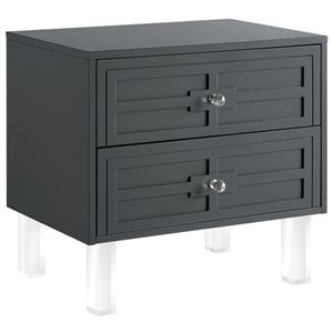 Posh Living Peyton Modern 2-Drawer Nightstand with Lucite Legs in Dark Gray