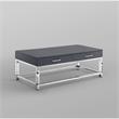 Posh Briar 2-Drawer Metal Coffee Table with Acrylic Legs in Dark Gray/Chrome