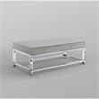 Posh Briar 2-Drawer Metal Coffee Table with Acrylic Legs in Light Gray/Chrome