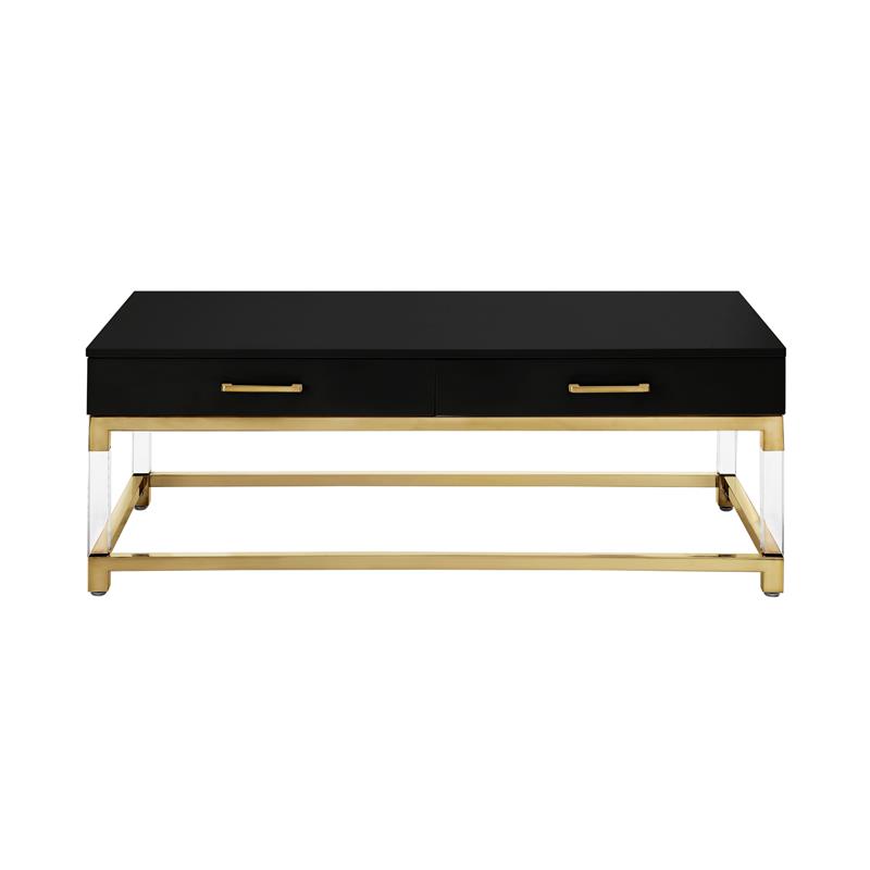 Posh Briar 2-Drawer Metal Coffee Table with Acrylic Legs in Black/Gold