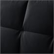 Posh Living Loft Lyfe Toyah Faux Leather Convertible Sleeper Sofa in Black