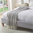 Nalani Light Grey Acrylic 50x60 Inches Faux Cashmere Fringe  Throw Blanket