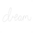 Posh Living Janyla Dream Multicolor LED Sign Battery-Powered