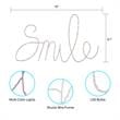 Posh Living Kynzlee Smile Multicolor LED Sign Battery-Powered