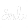 Posh Living Kynzlee Smile Multicolor LED Sign Battery-Powered