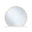 Posh Living Armand Glass Vanity Makeup Mirror with LED Lights in Gold