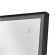 Posh Living Auron Rectangular Glass Mirror with LED Lights in Black